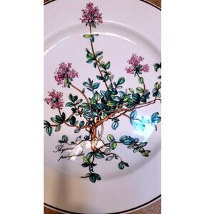 Villeroy Boch Botanica Thyme Plate Botanical Fine Porcelain Dinnerware